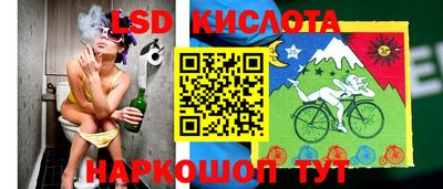 шишки Апшеронск