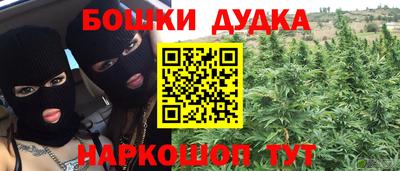 шишки Апшеронск