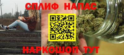 шишки Апшеронск