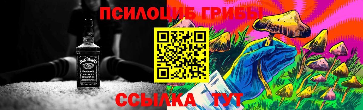 Галлюциногенные грибы Psilocybine cubensis Аргун