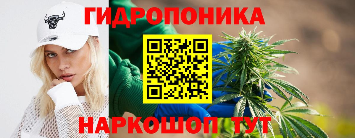 Бошки Шишки гибрид  Марихуана Bruce Banner  МАРИХУАНА ГИДРОПОН  Бошки Шишки марихуана  Аргун  Вход с VPN 